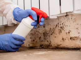 Mold Documentation for Insurance Claims in Portland, TN